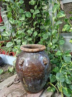 Brown ceramic pot with a textured surface on a background of green plants